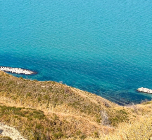 Scogliera erbosa si affaccia su mare azzurro con frangiflutti di pietra.