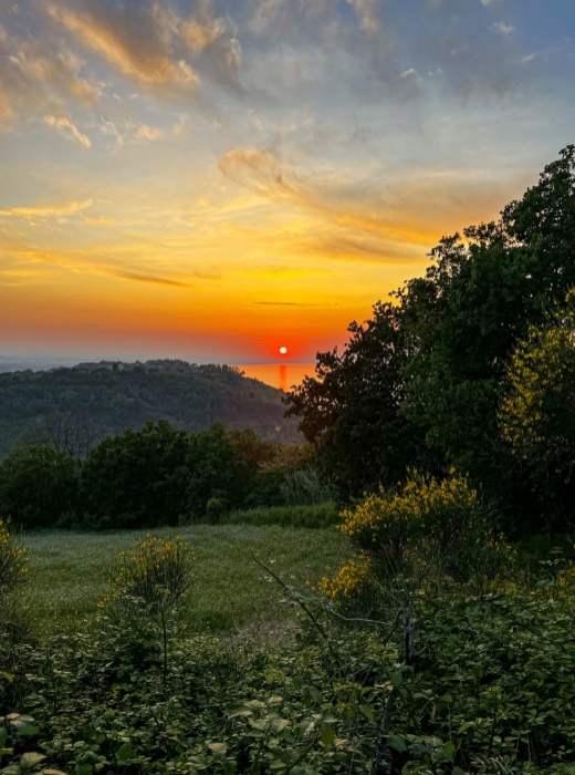 Tramonto infuocato su colline verdi, cielo dorato e pacifica serenità naturale.