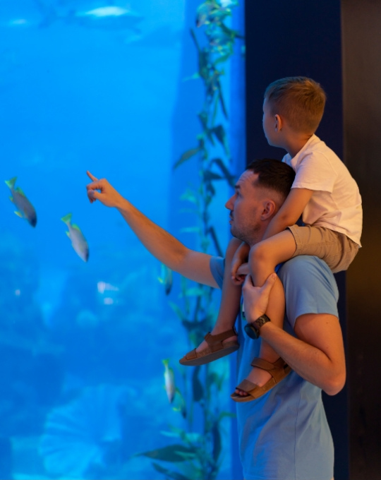 Padre e figlio ammirano affascinati i pesci in un grande acquario blu.